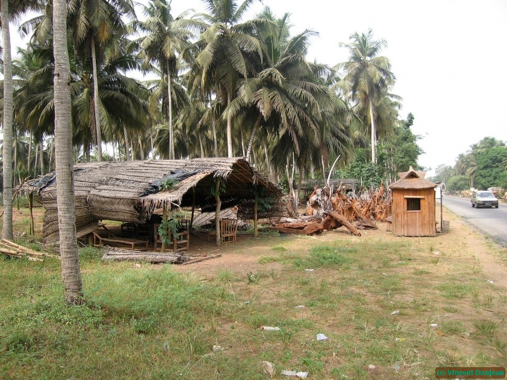 image00013