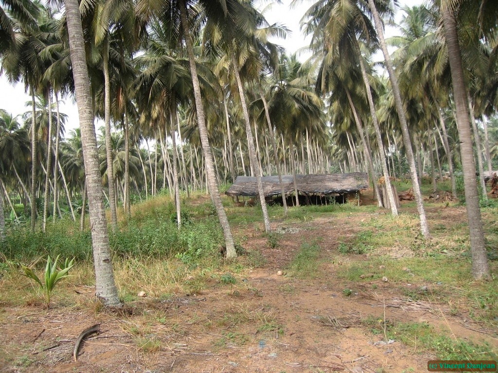 image00015