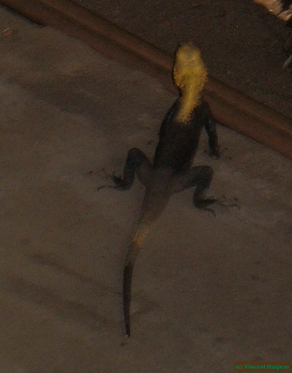 image00024
