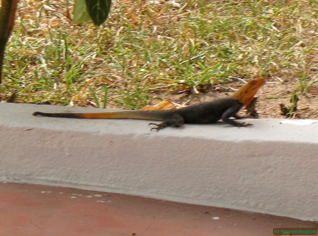 image00037