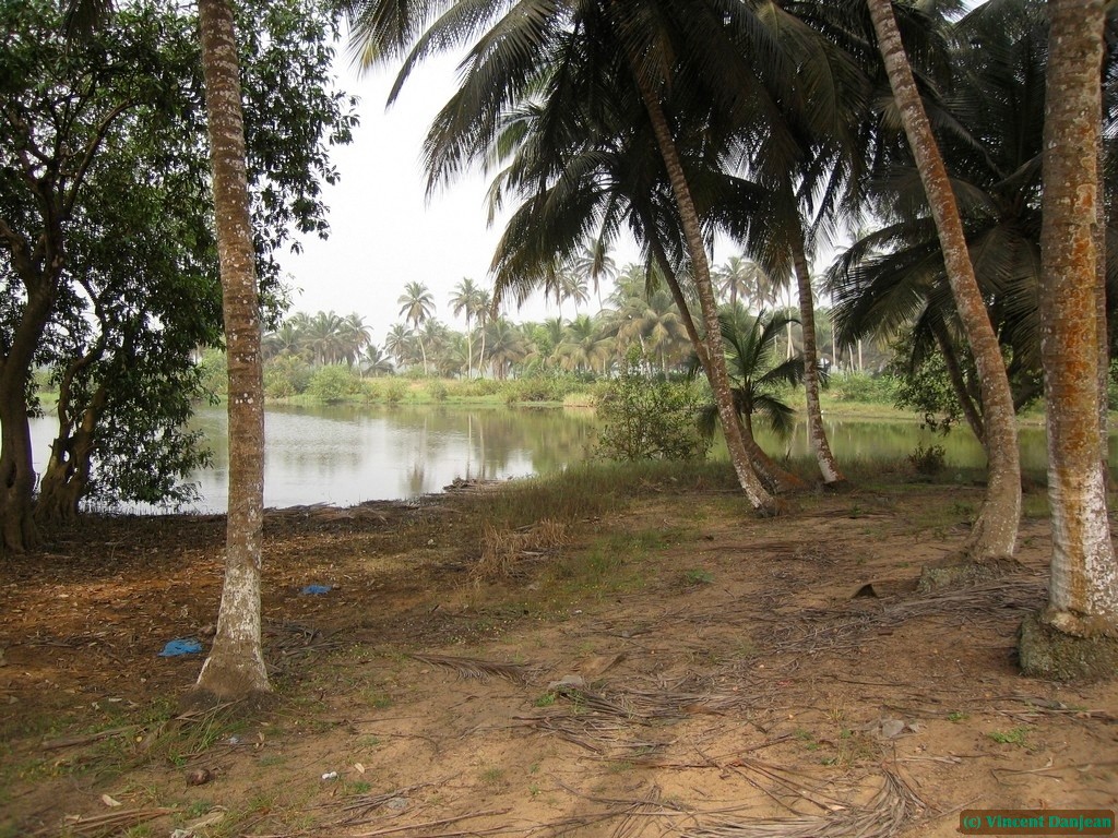 image00040