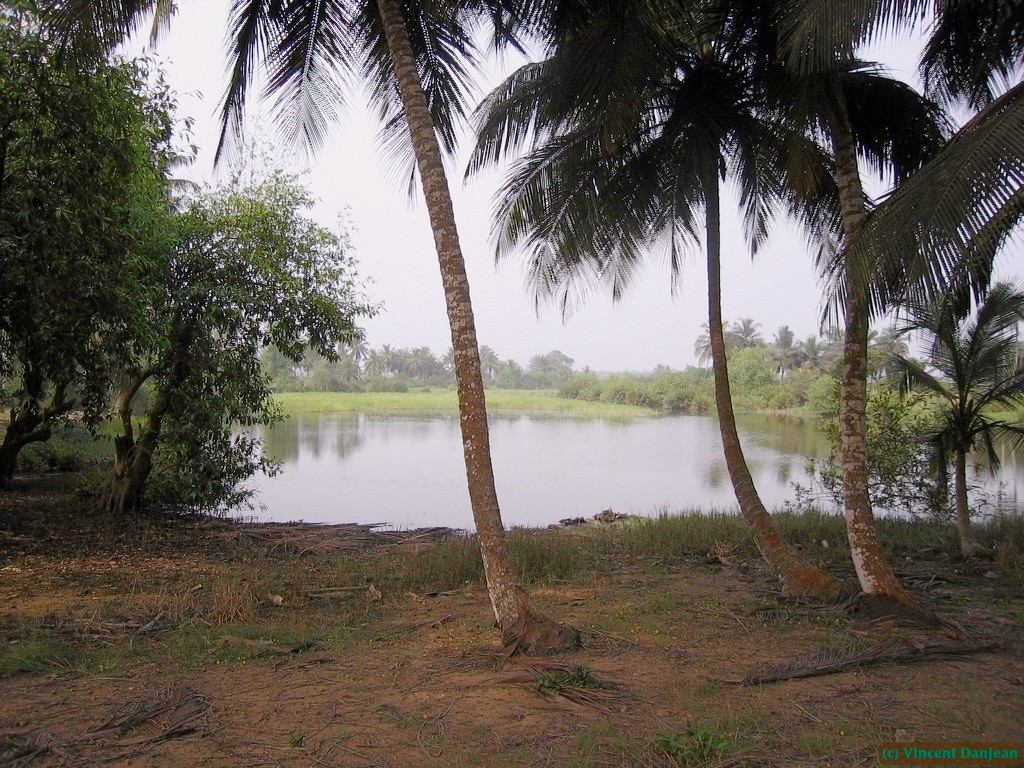 image00041