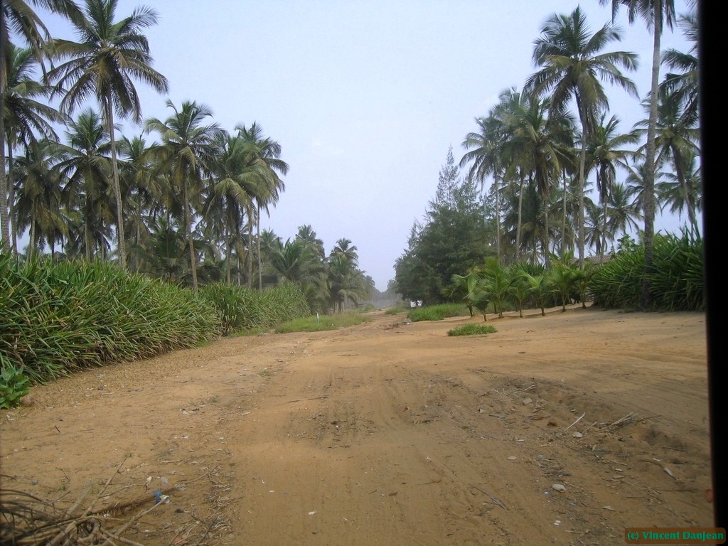 image00045