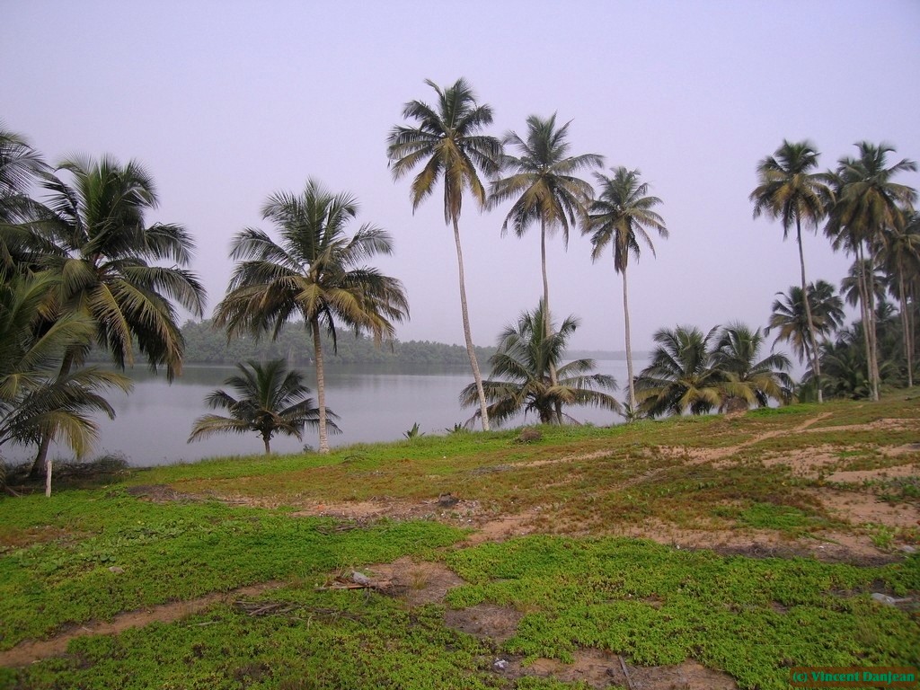 image00046
