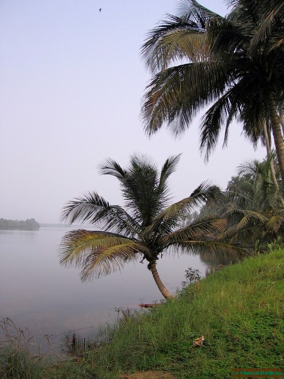 image00047