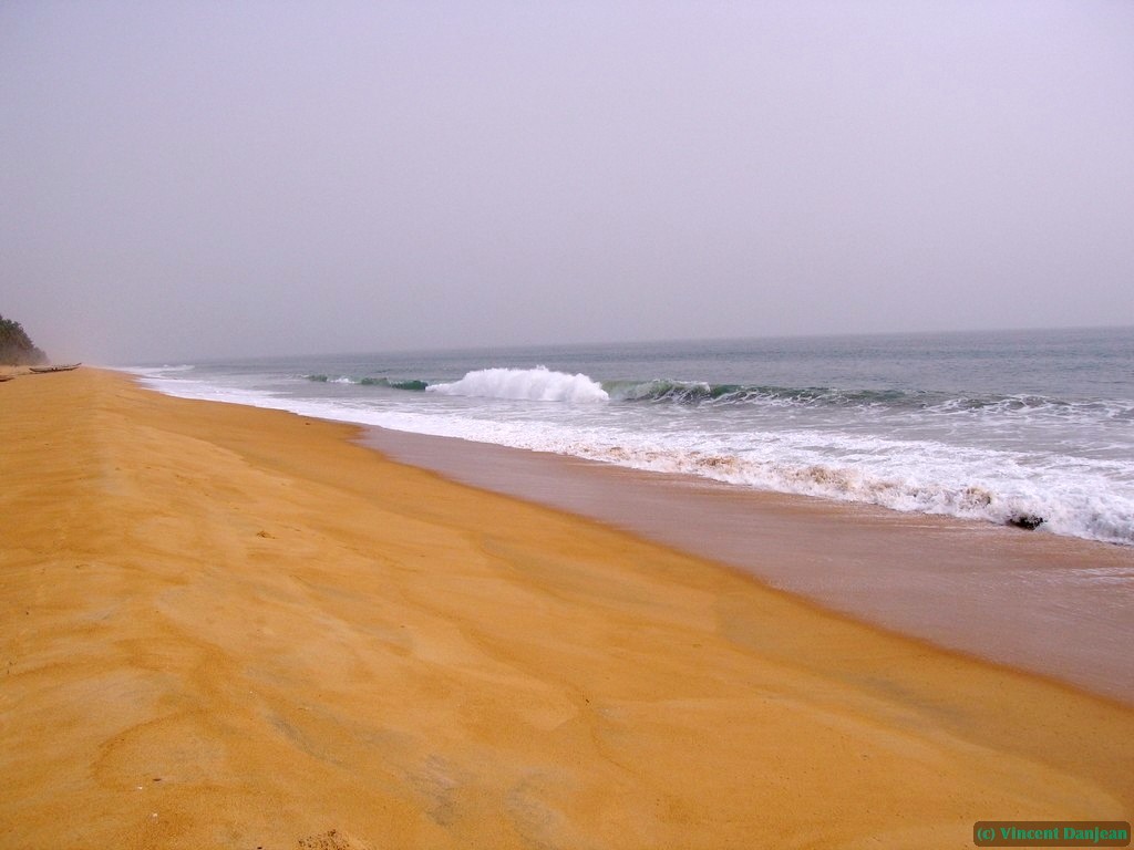 image00050