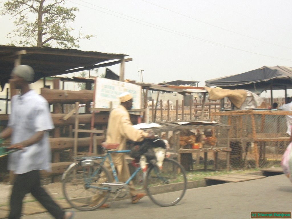 image00073