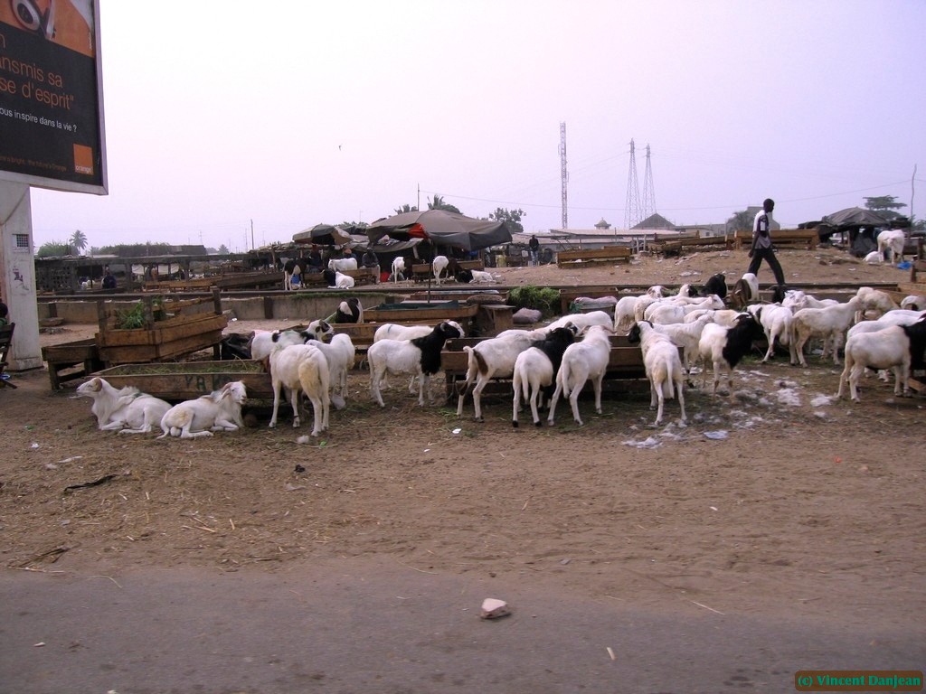 image00076