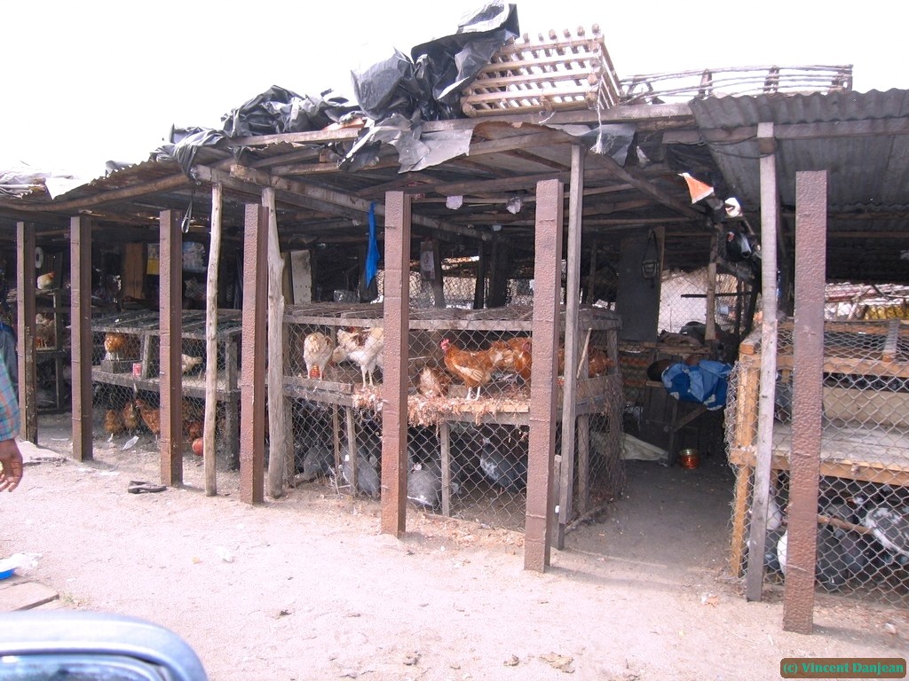 image00078