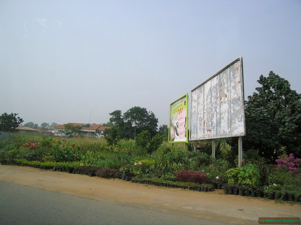 image00113