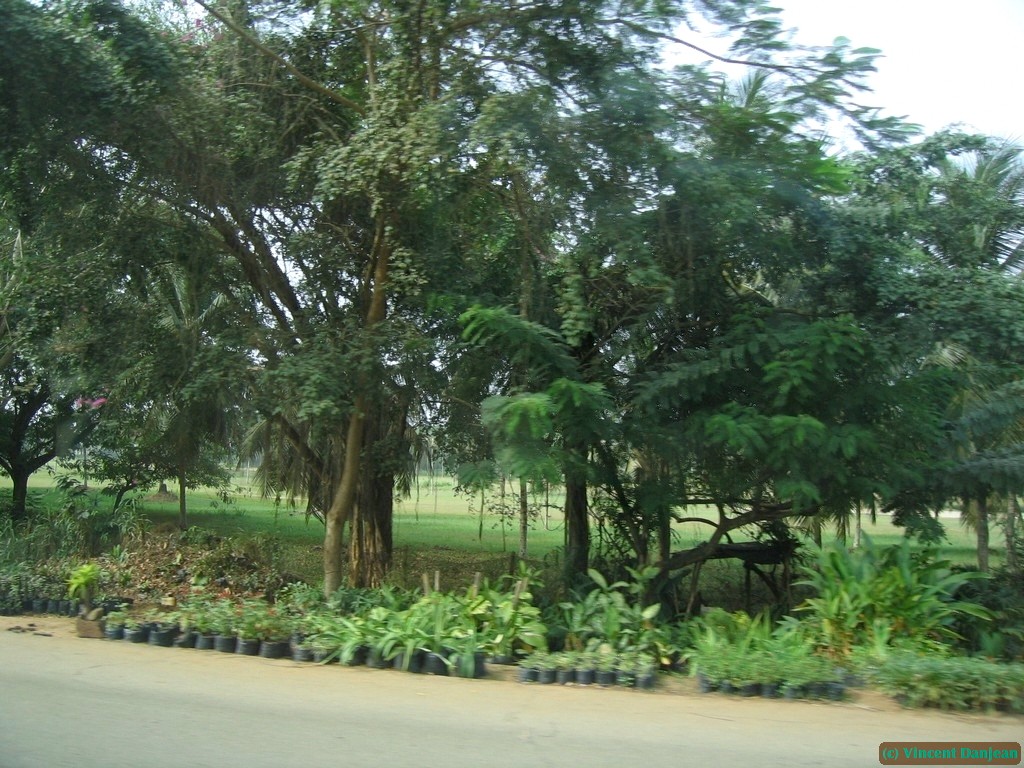 image00114