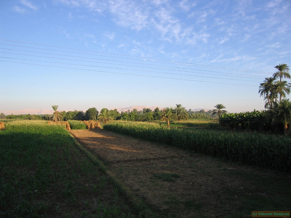 campagne