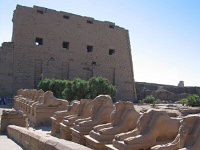 ierpyloneetcriosphinx-karnak.jpg