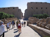 ierpyloneetcriosphinx2-karnak.jpg