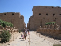 ierpyloneetcriosphinx3-karnak.jpg