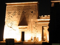 ierpylonephilae.jpg