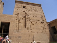 iiemepylonephilae.jpg