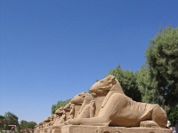 lalleedescriosphinx-karnak.jpg