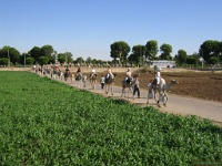 lapromenadeendromadaire.jpg
