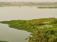 VDA_7028.jpg