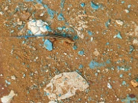 VDA_7110.jpg