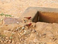 VDA_7115.jpg