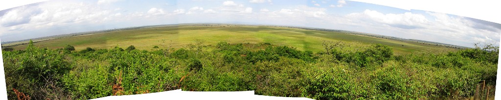 panoramic nnp