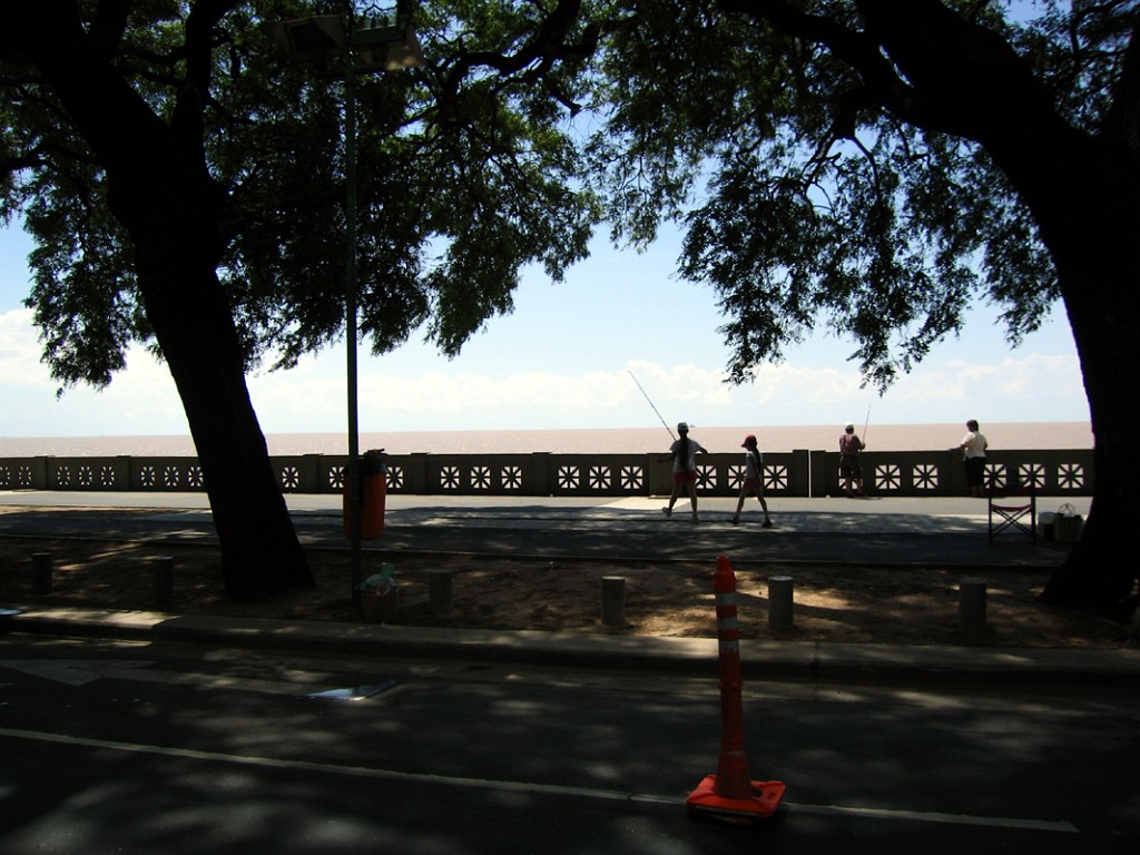 200602032