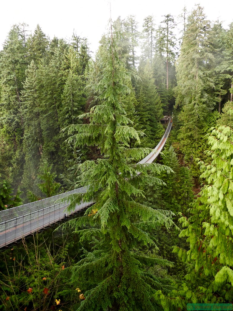 l1030766