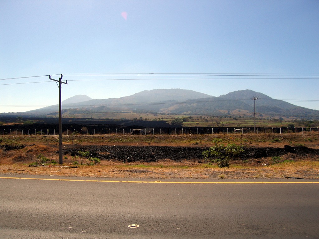 200602044
