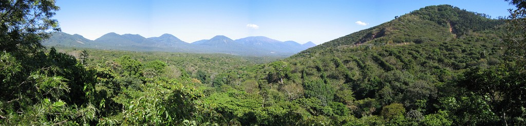 santaleticiacoffeefarm
