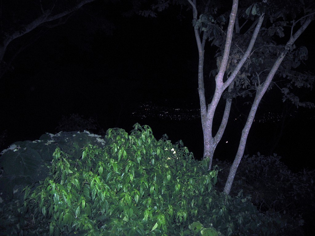 200709-014