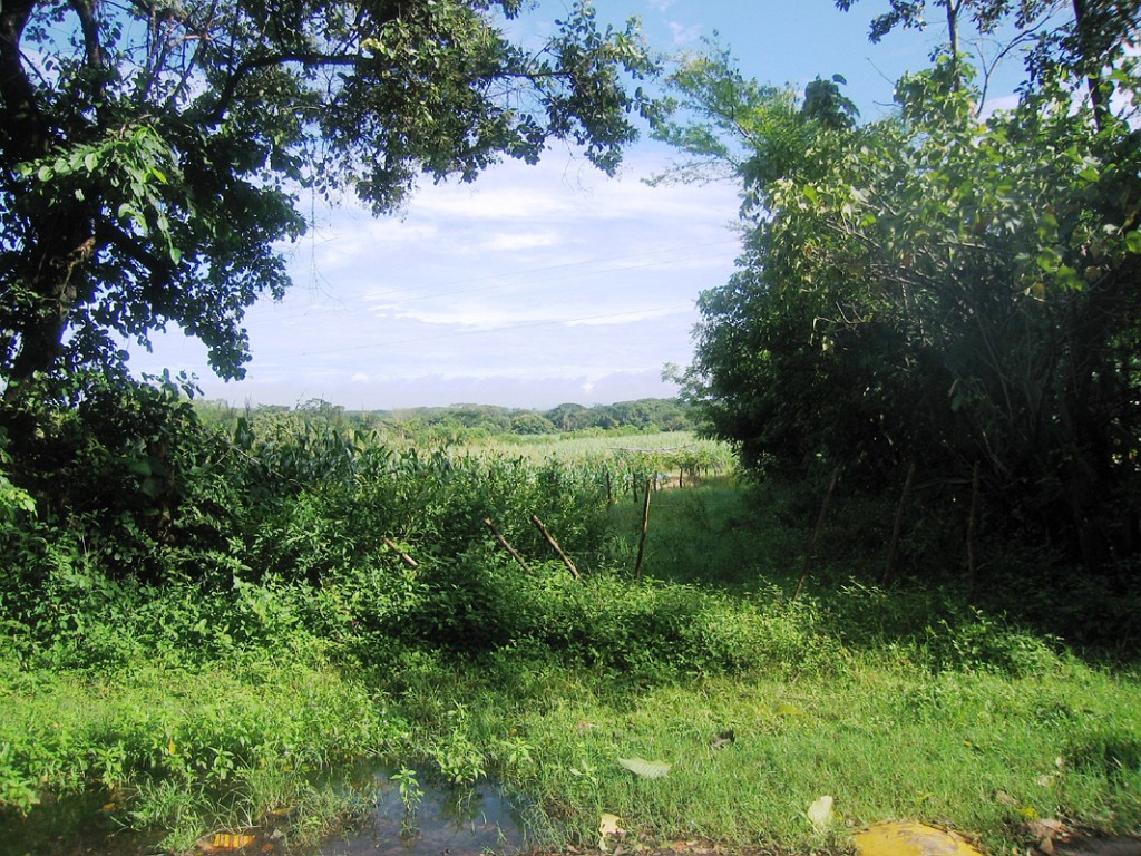 200709-041