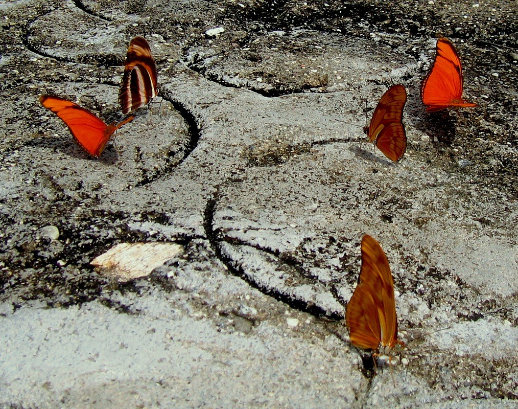 200709-086