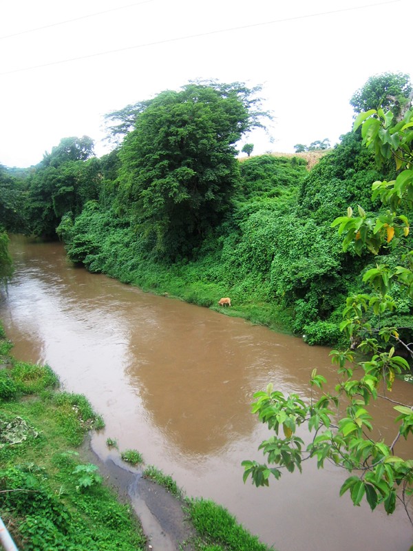 200709-119