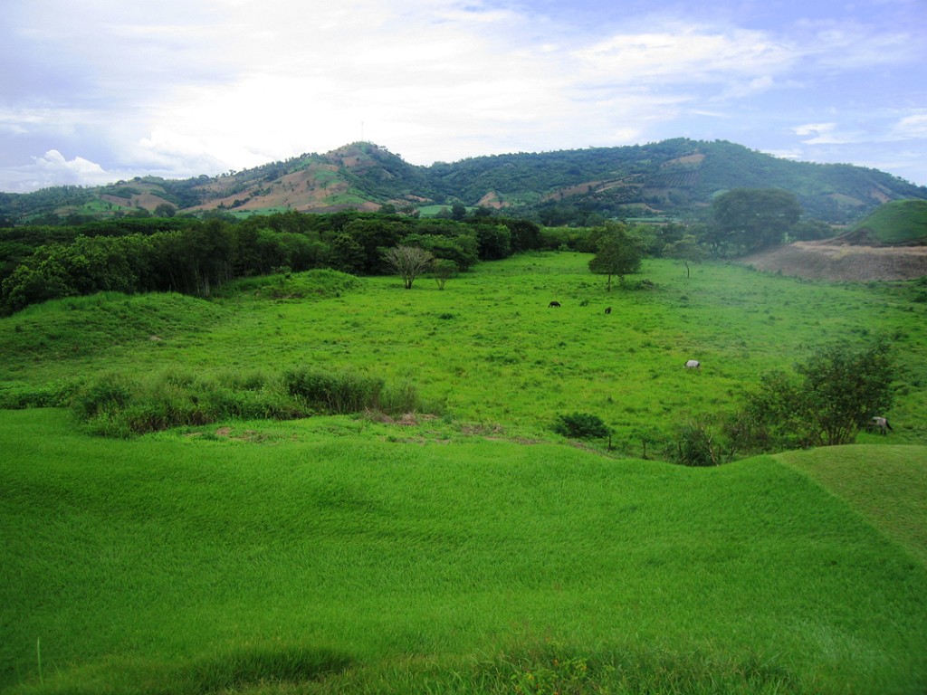 200709-132