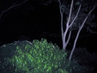 200709-014.jpg