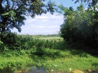 200709-041.jpg