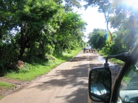 200709-042.jpg