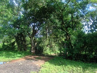200709-043.jpg