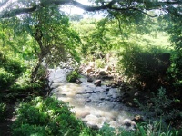 200709-044.jpg