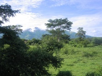 200709-045.jpg