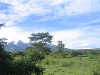 200709-047.jpg