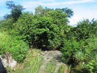 200709-050.jpg