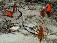 200709-086.jpg