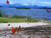 200709-087.jpg