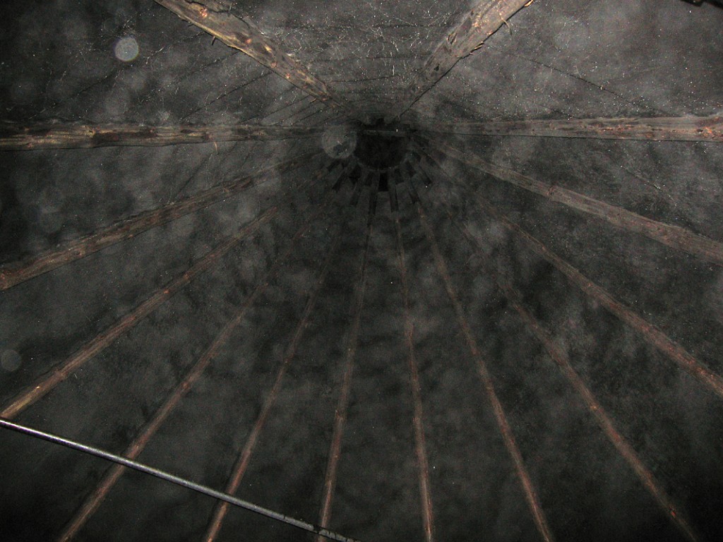 img 6502