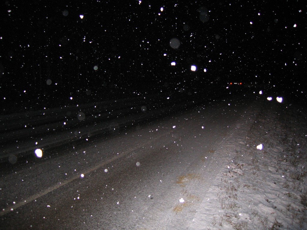 img 6525