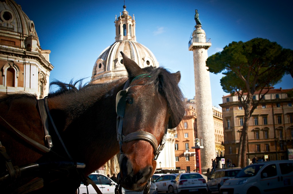 rome-vda 5307