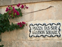 VDA_2630.jpg